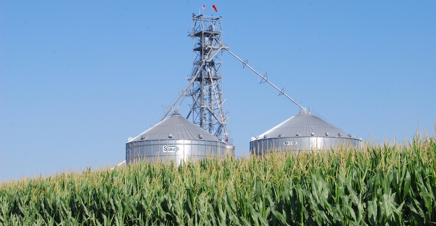 cornfield and grain bins