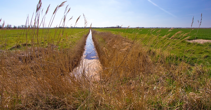 drainage ditch between two fields