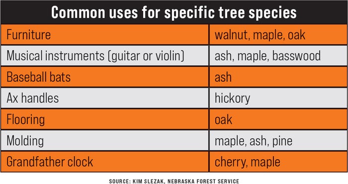 Common uses of different species of hardwood trees table