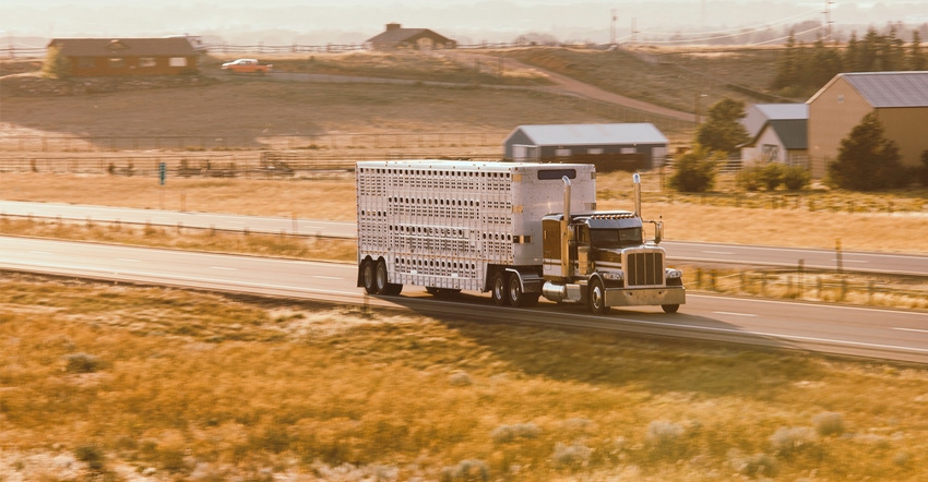 Livestock hauling truck