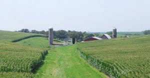 Cornfields, silos and barn