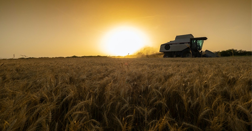 todd-johnson-2022-wheat-harvest.jpg