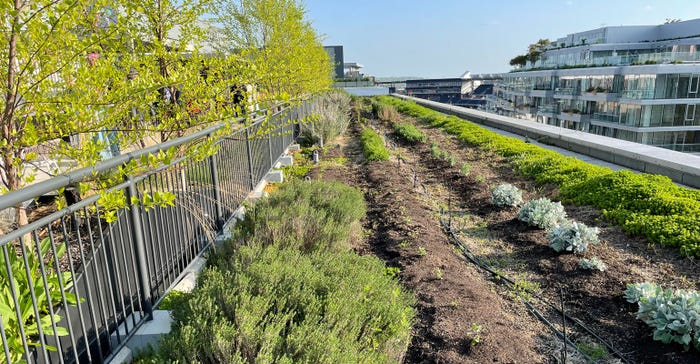 Strict stormwater management on rooftop farm by Up Top Acres