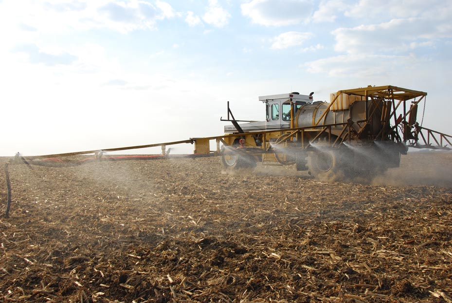 Starter Fertilizer May Help Soybeans on NutrientDeficient Soils