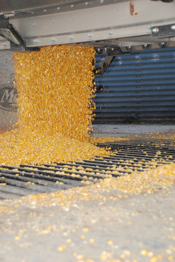 ISU survey shows decline in custom rates across operations in 2018