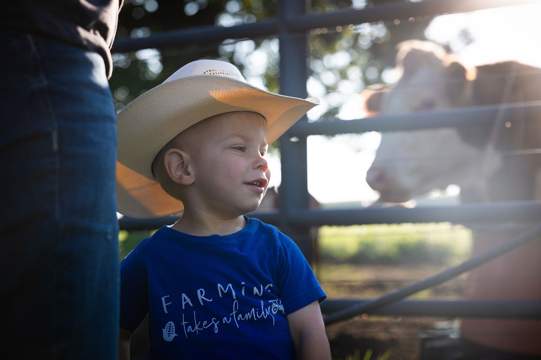 2-year-old boy in a cowboy hat and blue shirt with a cow in the background