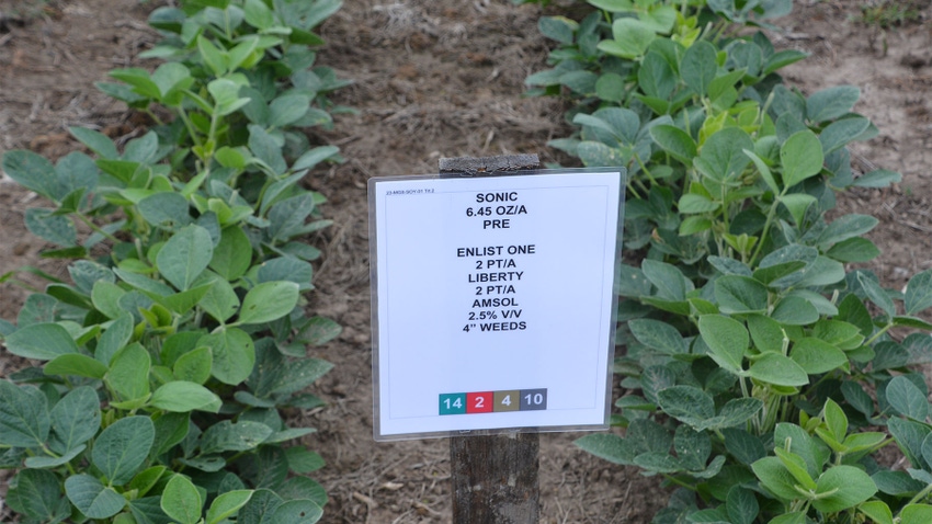 Rows of soybeans and a white sign on a wooden post