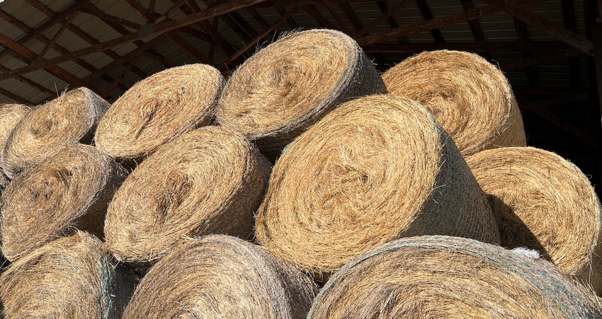 Hay Rolls web.jpeg Hay Rolls web.jpeg