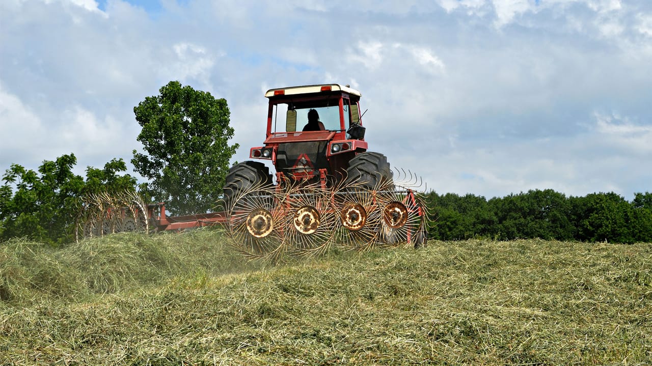 Farmers Raking Forage harvest strategies for wet conditions: Timing, techniques, storage
