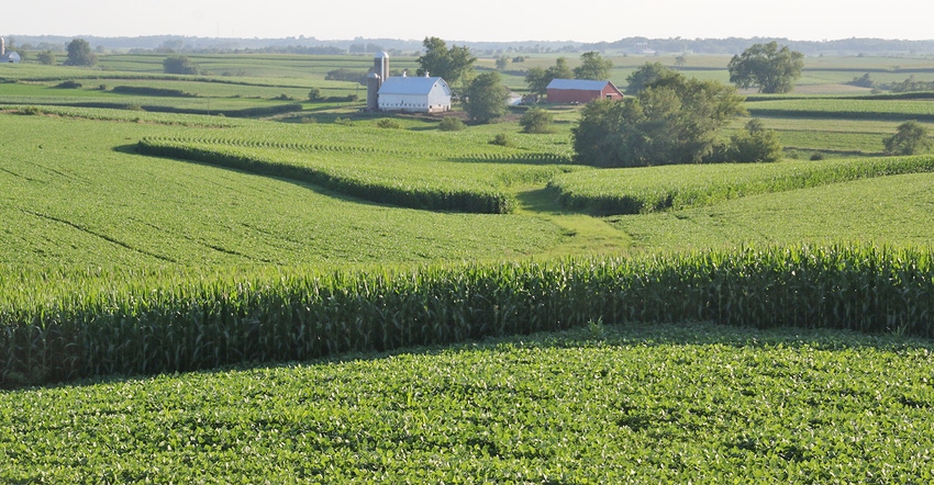 scenic corn and soybean fields