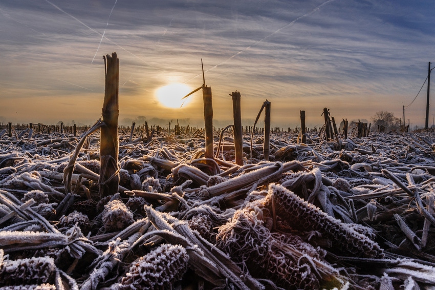 January 2020 USDA crop report January 2020 USDA crop report