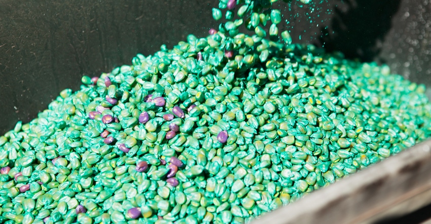 treated corn seed falling into hopper treated corn seed falling into hopper
