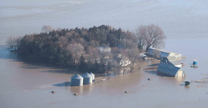 flooded farmfield
