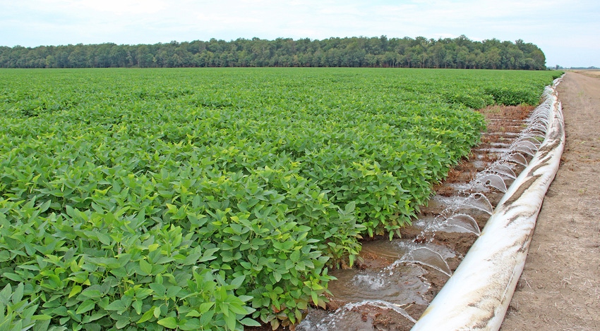 irrigation - poly pipe