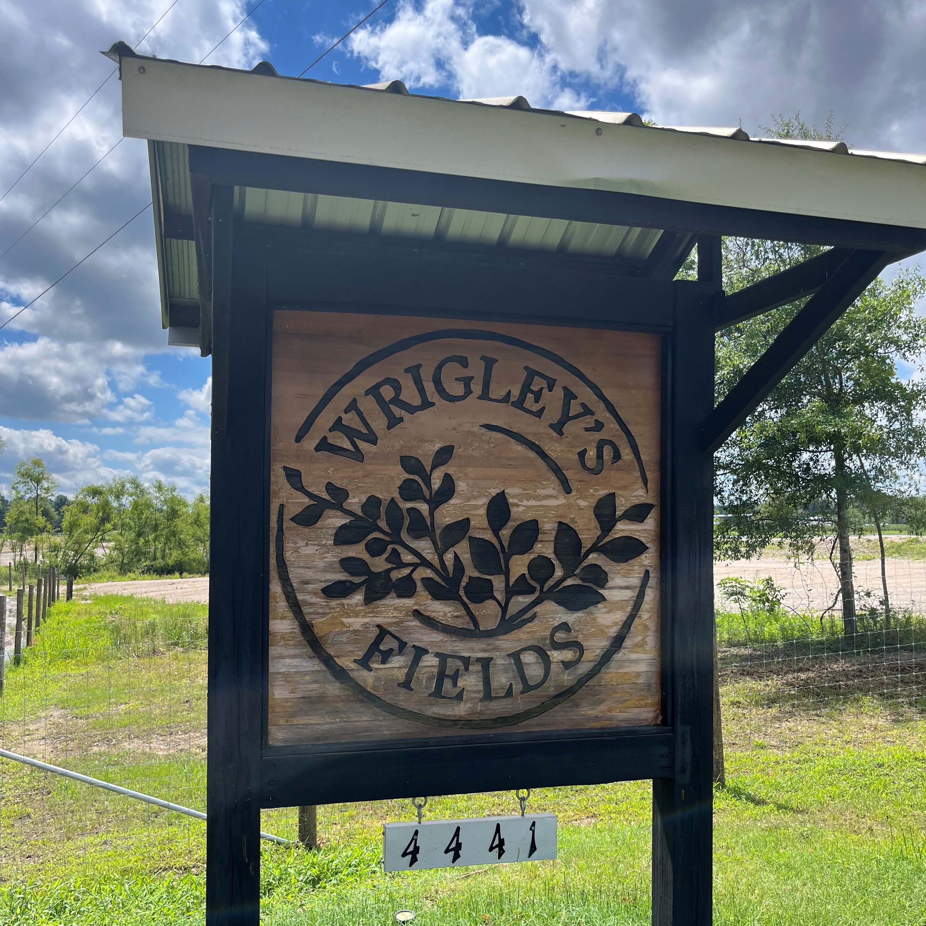 Downey blog photo 6/7.jpg