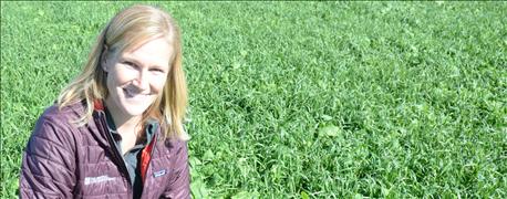 cover_crops_north_how_established_corn_soybeans_1_635950857889260000.jpg