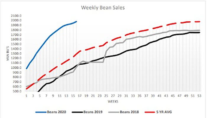 Weekly Bean Sales