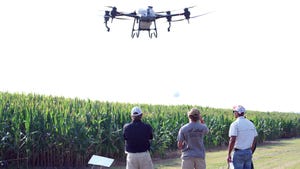 A drone flies over a corn field watched by three men.