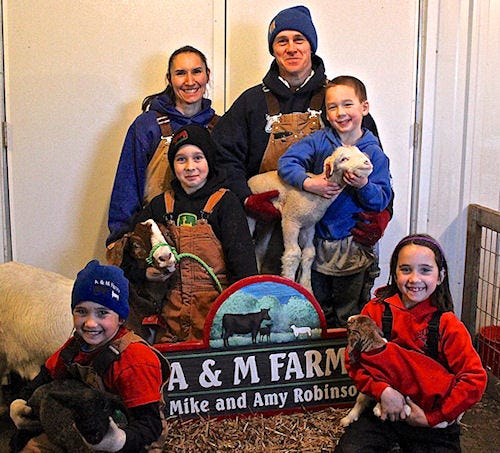 mineral_point_family_raises_show_cattle_lambs_2_635654217979868000.jpg