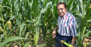 Dave Nanda standing in corn
