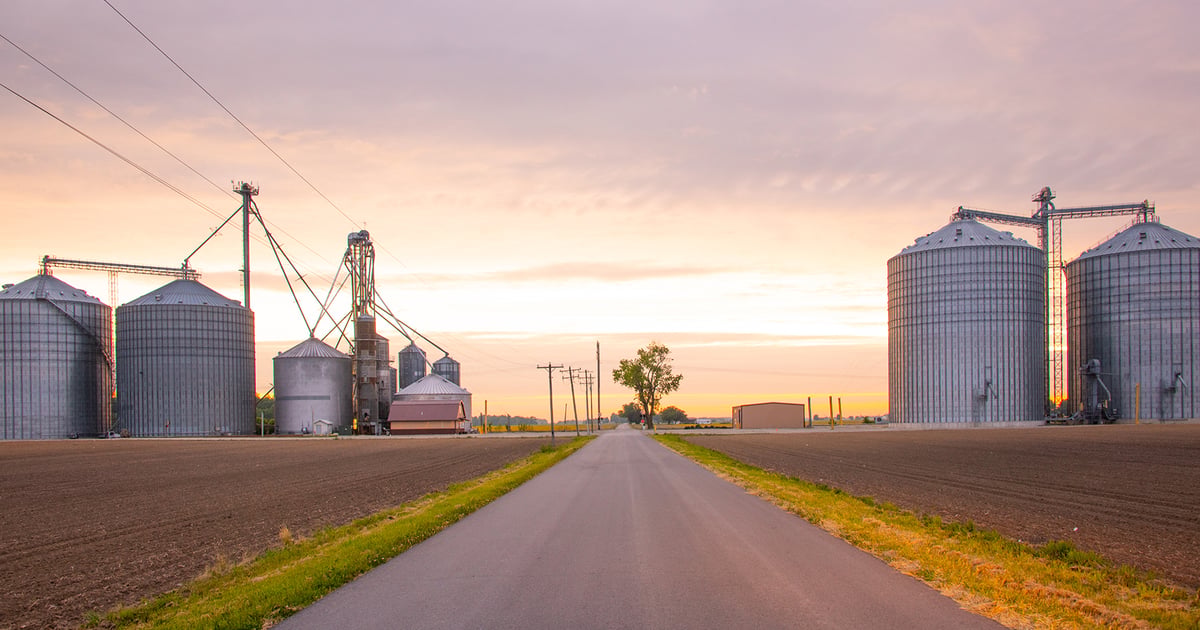 Reagan Corn Are farmers truly undersold on 2023 corn?
