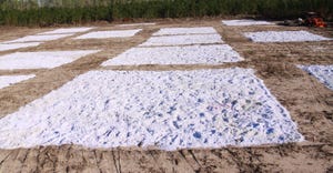 Pulverized paper spread evenly over plots.