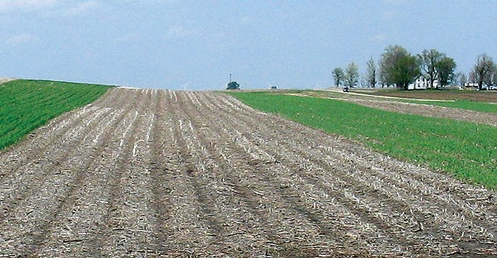 The farmers maintained replicated strips running the entire length of a field. Each replication had one strip with cover crops and one without cover crops