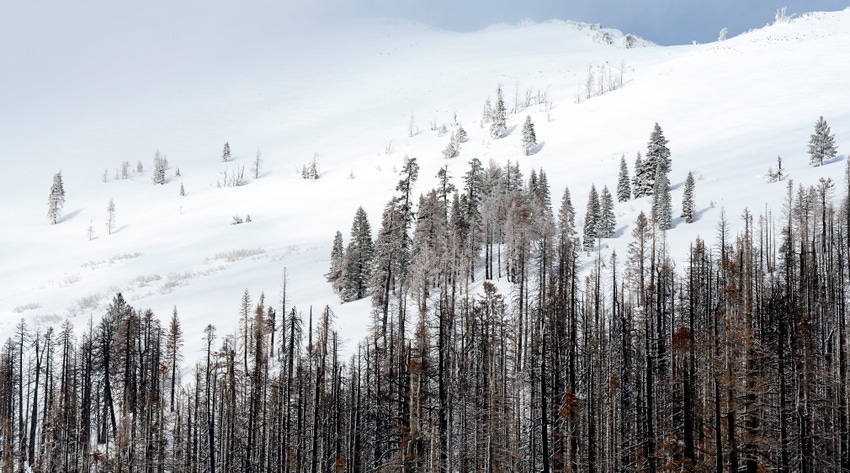 WFP-calif-dwr-snowpack-010523.jpg