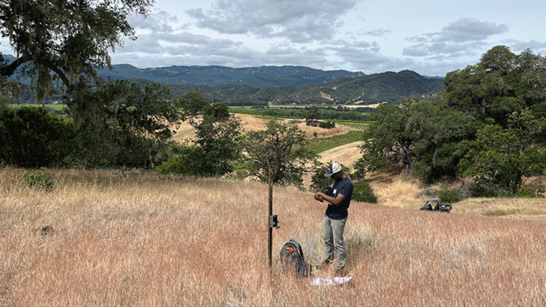 Researcher checks a camera trap