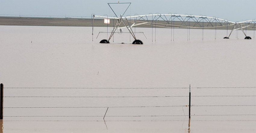swfp-shelley-huguley-flooded-fields-sprinkler.jpg