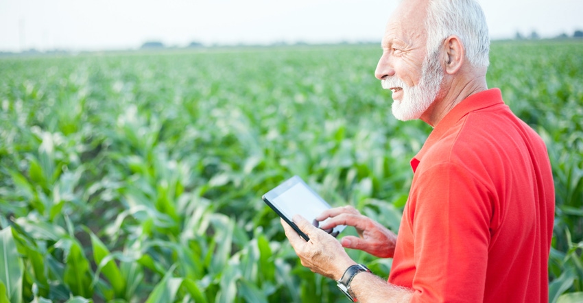 Older farmer in corn field with tablet in hands