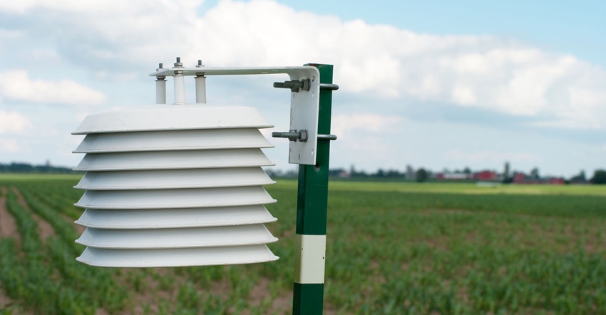 A remote weather station is used by a farmer to monitor his crop of corn.