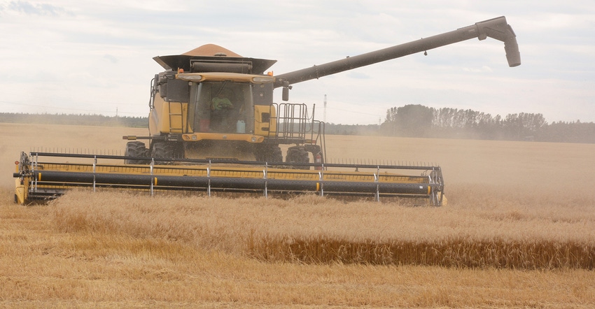 yellow combine harvesting wheat