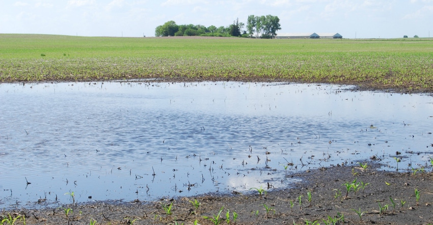flooded section of a field flooded section of a field