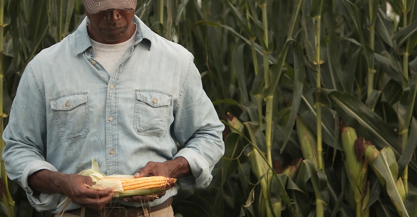 farmer holding ear of corn in front of corn field