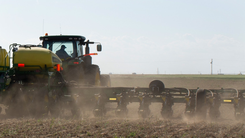 planting cotton