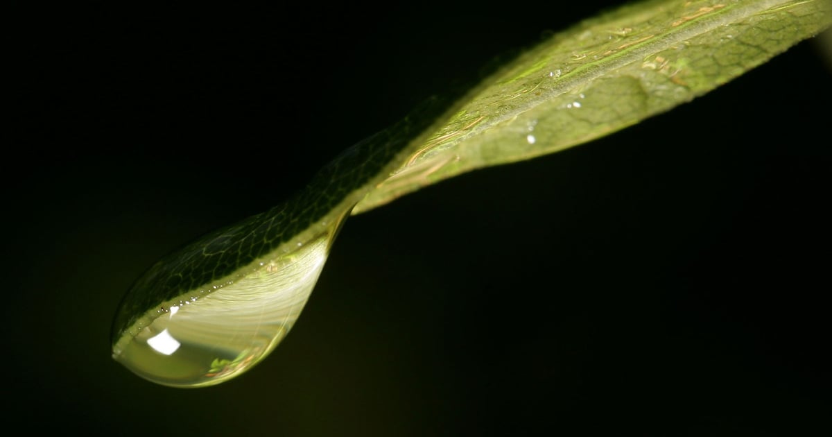 What does water mean to you?