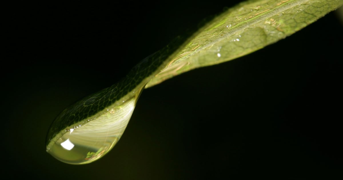 What does water mean to you?