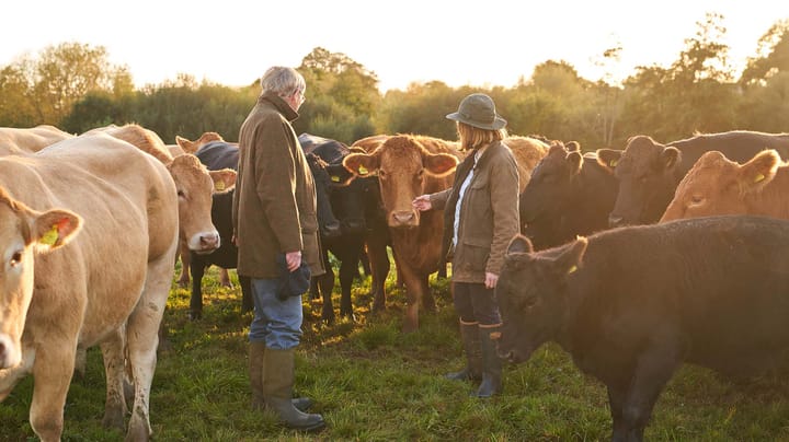 Why average isn't good enough in beef production