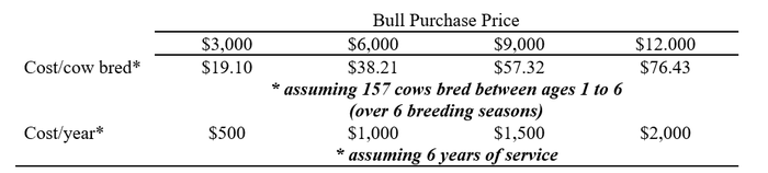 2-22-22 bull worth.png