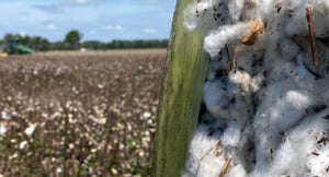 cotton-bale-in-field-2021-farm-progress-a.jpg