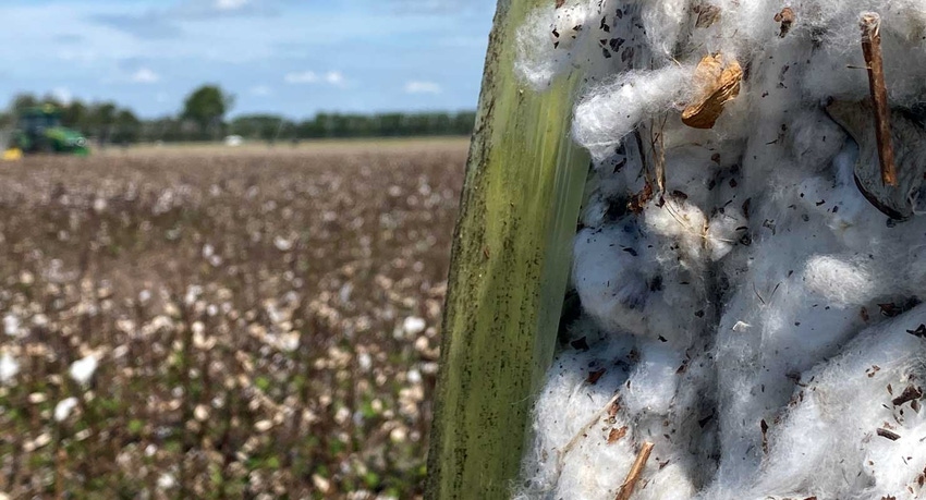 cotton-bale-in-field-2021-farm-progress-a.jpg
