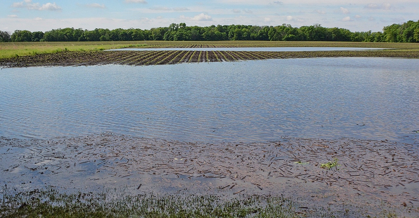 flash flooded field