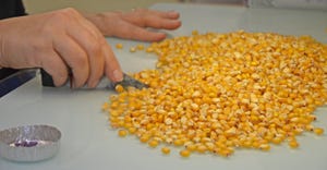 hand sorting seeds on a table