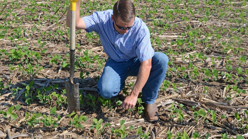  Steve Gauck inspects soil in a soybean field