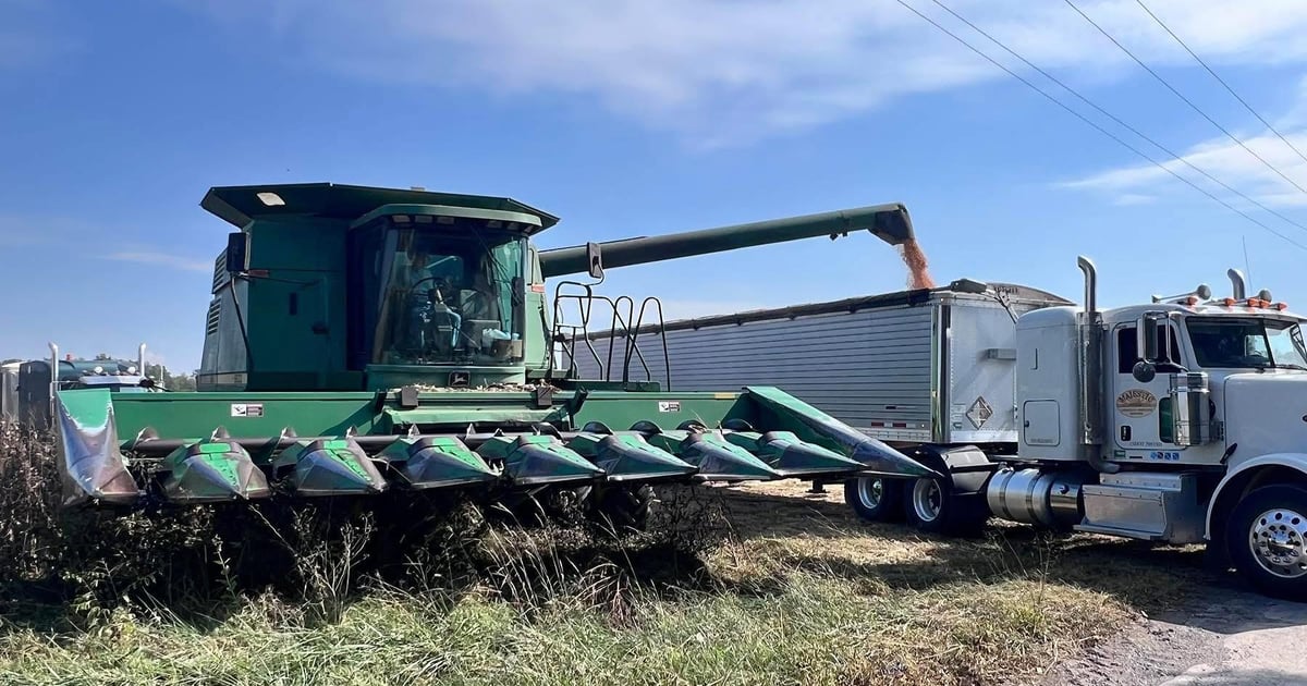 Is organic worth it? 10 questions farmers are asking