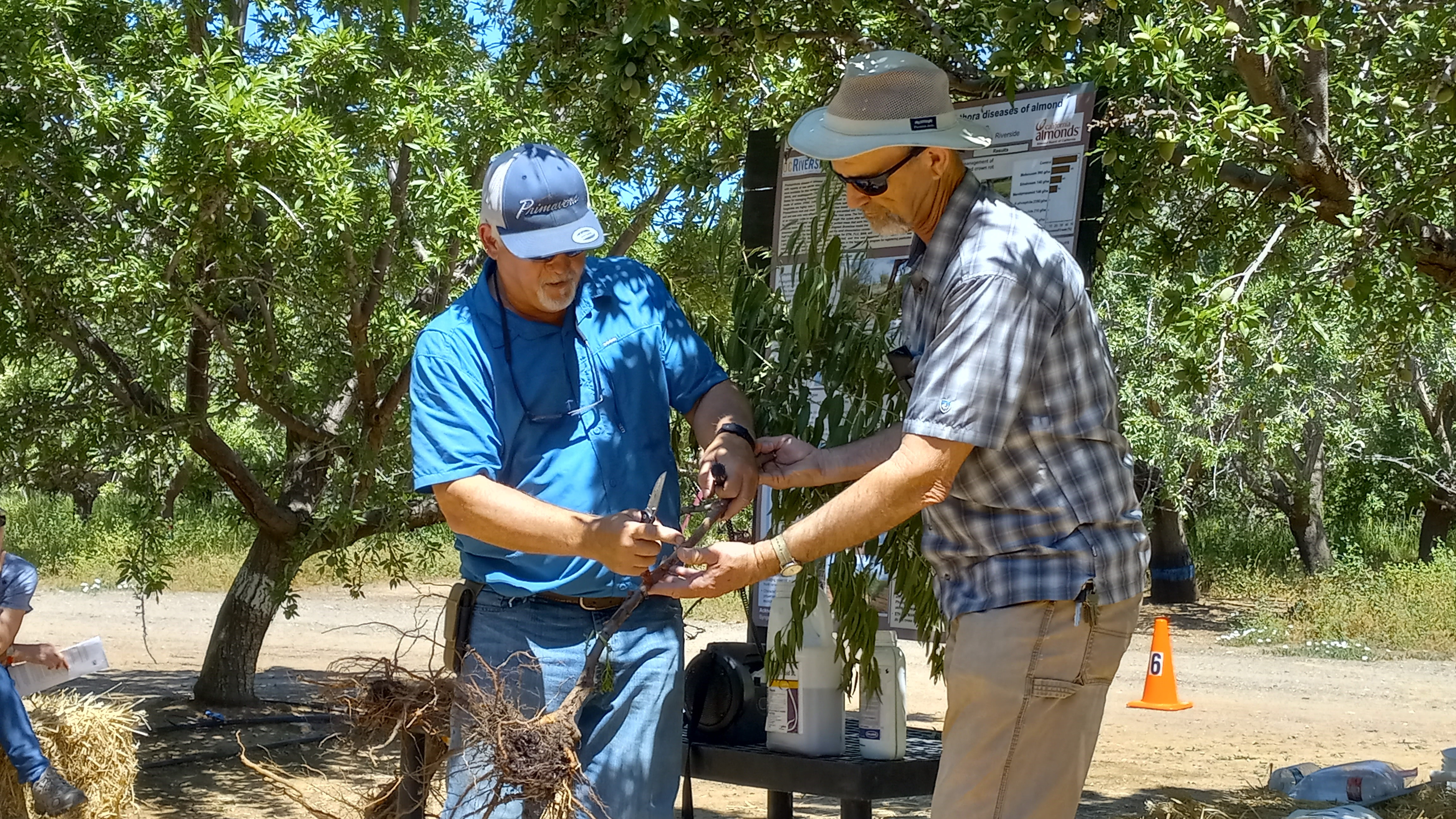 UC Extension demonstration