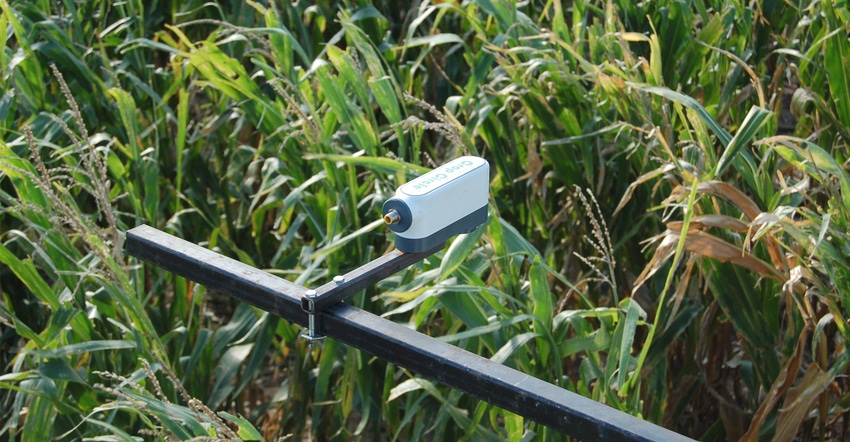 Remote sensing of the crop canopy reflectance is the best option to quantify in-season N needs if the plants are large enough Remote sensing of the crop canopy reflectance is the best option to quantify in-season N needs if the plants are large enough