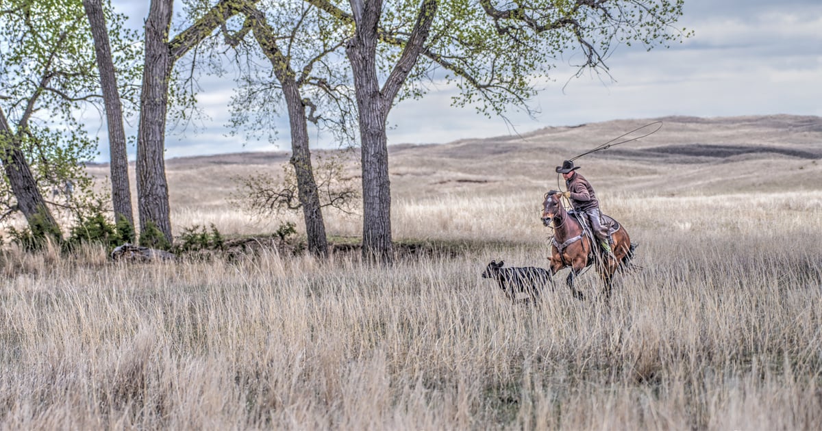 Sandy Ridge Ranch Nebraska Sandhills ranch photo wins 'This is Nebraska' category