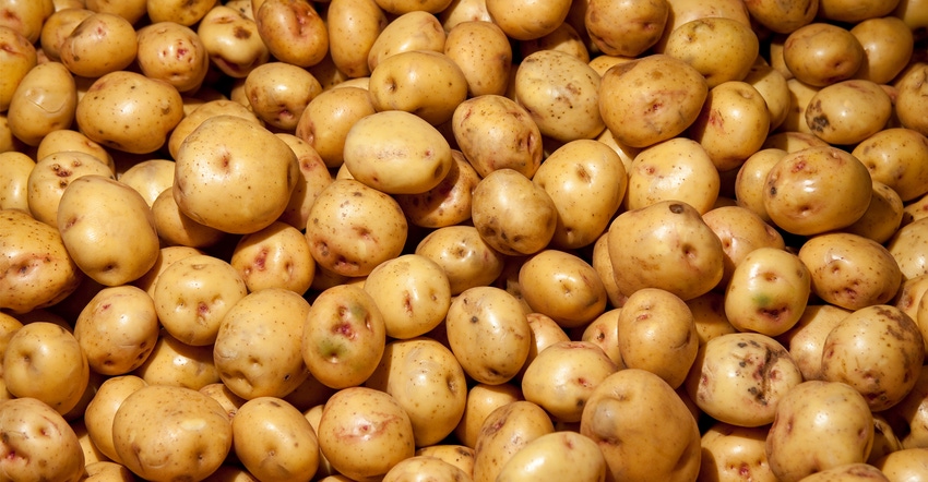 Potatoes Potatoes